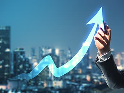 Owner's Guide to Growth Course